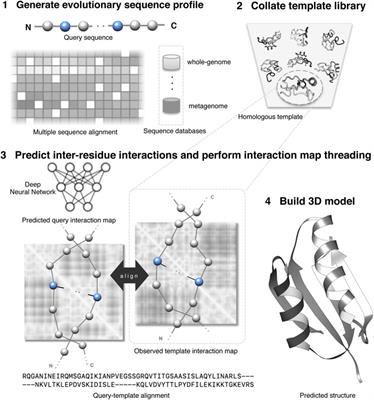 Recent Advances in Protein Homology Detection Propelled by Inter-Residue Interaction Map Threading